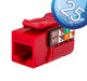 CAT6 Data Grade Keystone Jack Red, 25 Pack - 352-V2709/RD/25 CAT6 Data Grade Keystone Jack Red, 25 Pack - 352-V2709/RD/25